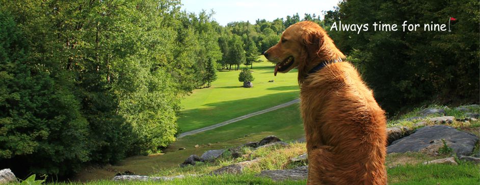 Picturesque nine hole golf course in Lanark Ontario, near Perth and Ottawa - tree lined fairways, meandering creek and challenging elevation changes